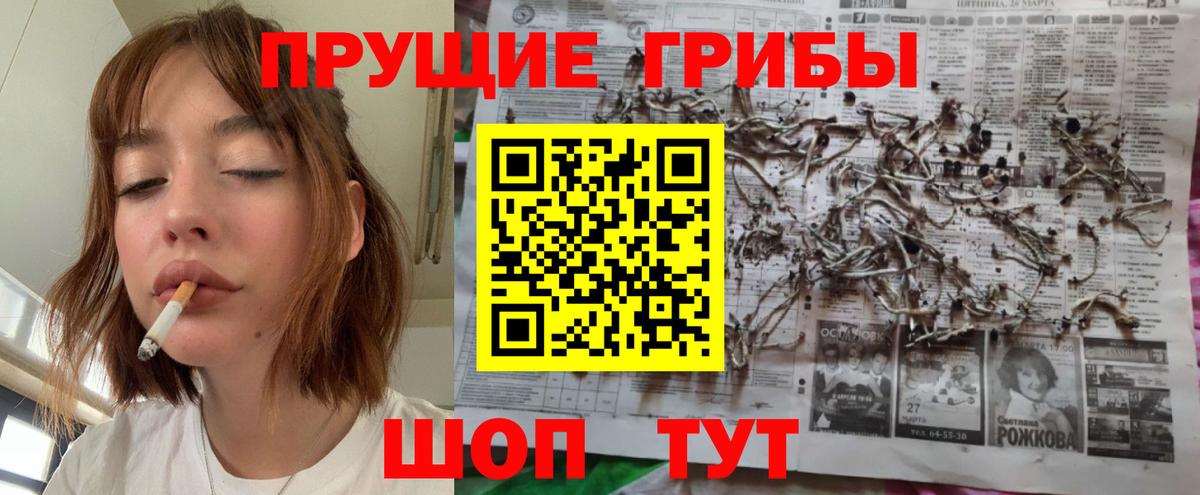 Азов  Псилоцибиновые грибы Psilocybine cubensis  Вход с VPN 